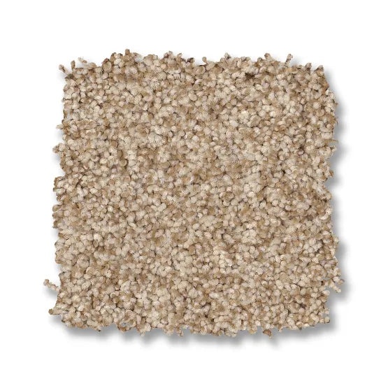 Classics Terra Nova Reed Nylon Carpet - Textured