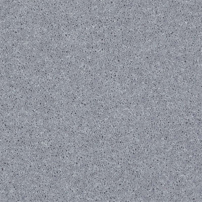 All Star Weekend Ii 15' Dolphin Polyester Carpet - Textured