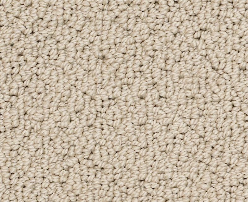 Detailed Art Loop Clay Stone Nylon Carpet - Loop