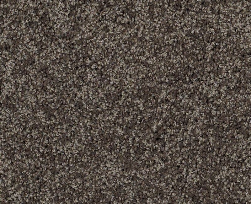 My Style 3 Chocolate Nylon Carpet - Textured