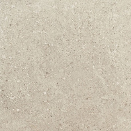 Dignitary Notable Beige Porcelain Tile - Matte