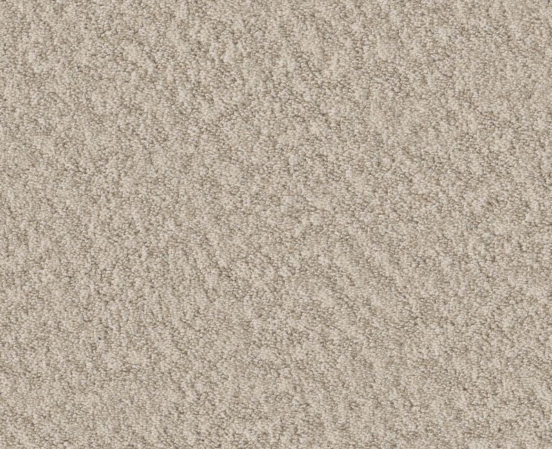 Showy Sandstone Nylon Carpet - Loop