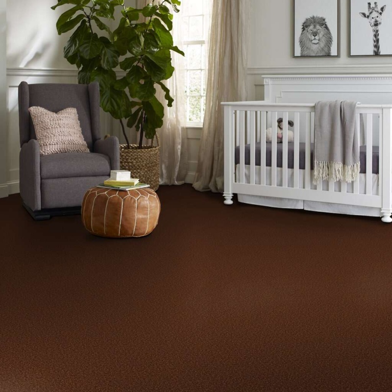Magic At Last Iv 15' Cocoa Nylon Carpet - Textured