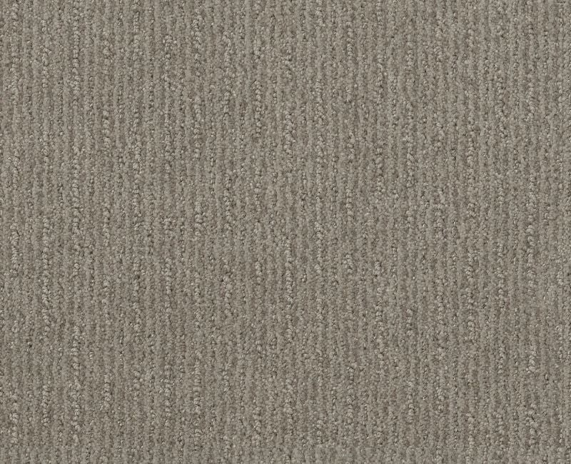 Well Informed Silhouette Nylon Carpet - Textured