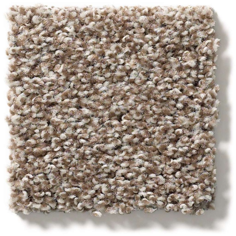 Poised Brown Sugar Nylon Carpet - Textured