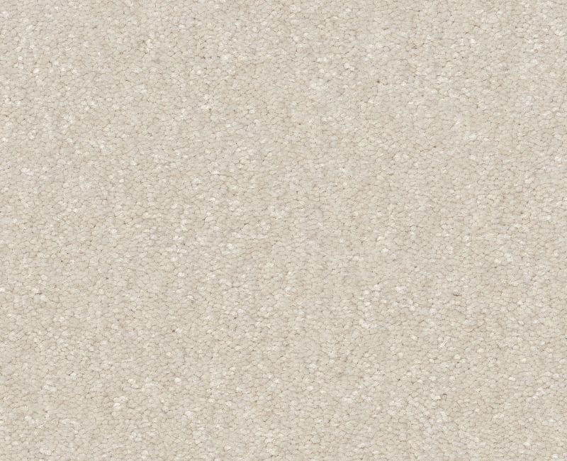 Off The Leash I 12 Snowfall Polyester Carpet - Loop