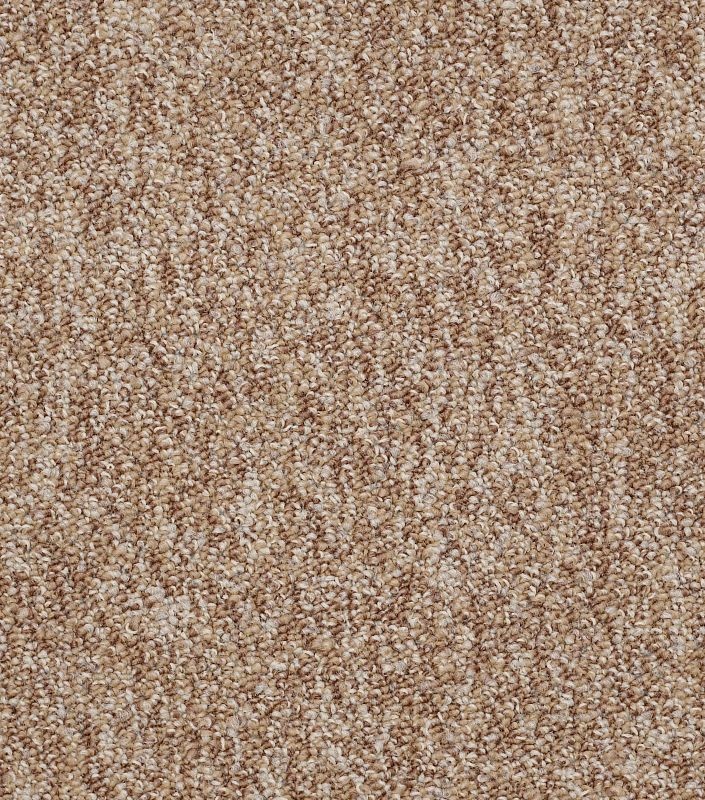 Philadelphia No Limits Tile Potential Nylon Carpet Tile - Loop - 24" X 24"