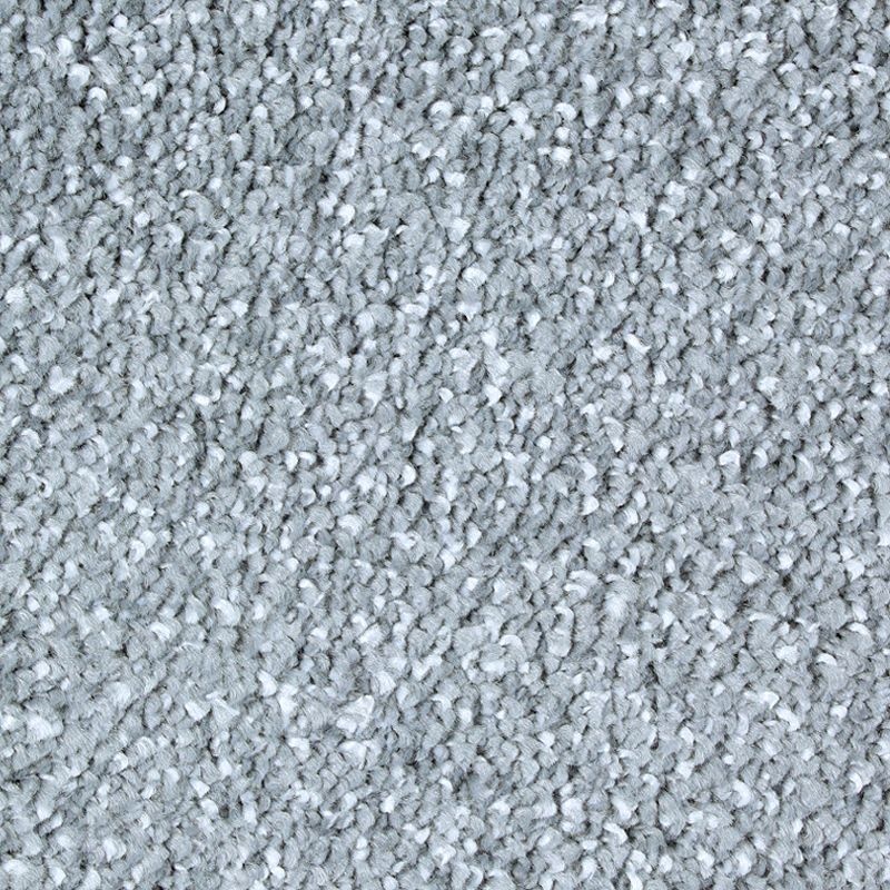 Exquisite Tones Serenity Triexta Carpet - Textured