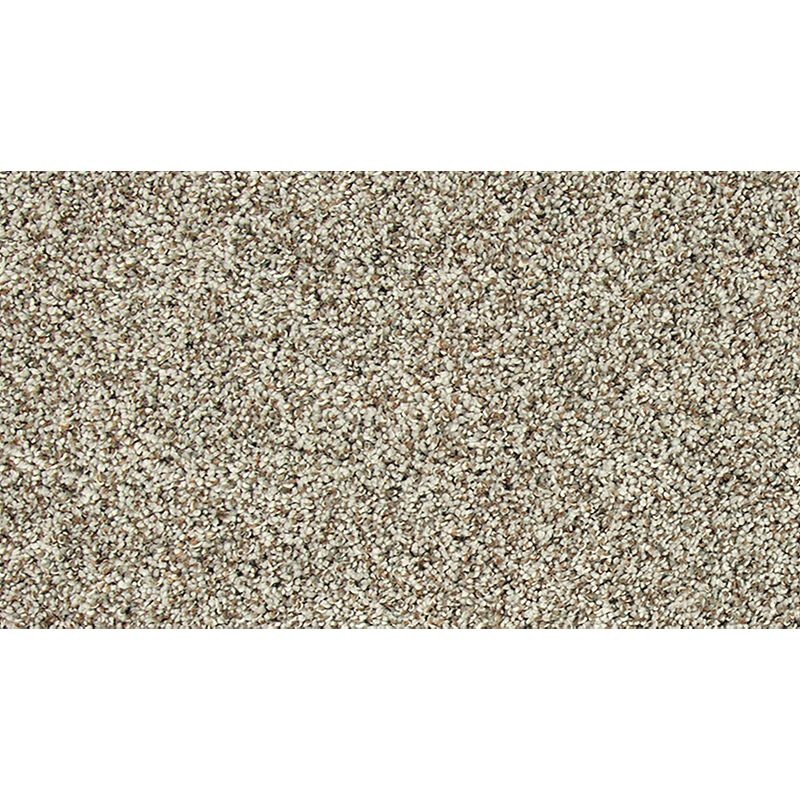 Soft Tempo I Celtic Mist Polyester Carpet - Textured