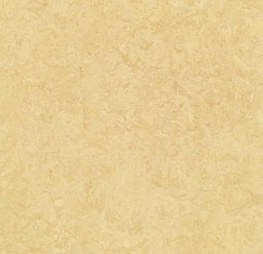 Marmoleum Composition Tile MCT Butter Linoleum Tile – Topshield Pro, 13.11" x 13.11"