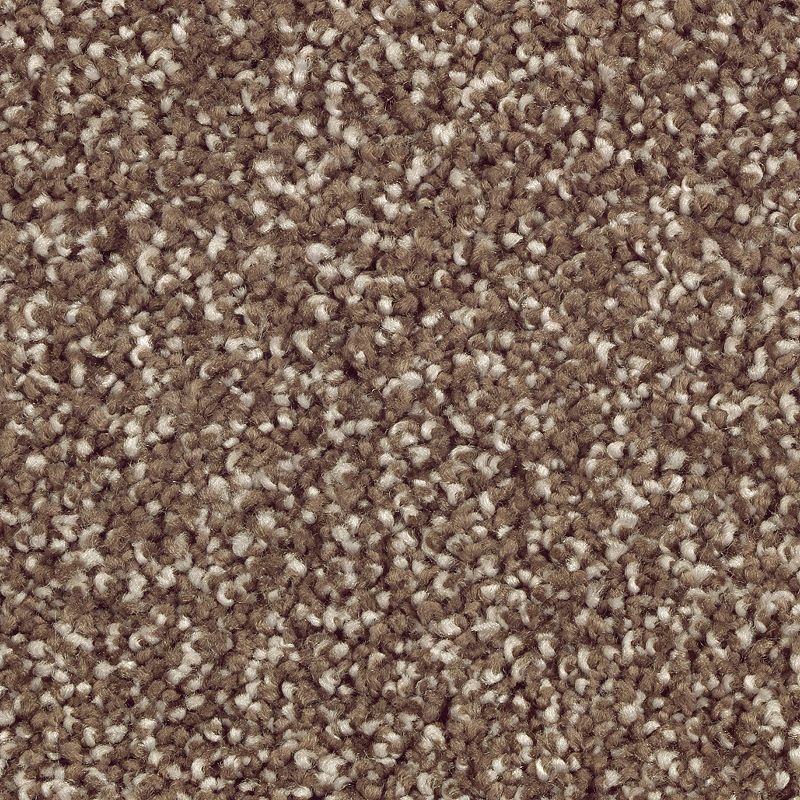Natural Refinement I Dried Peat Triexta Carpet - Textured