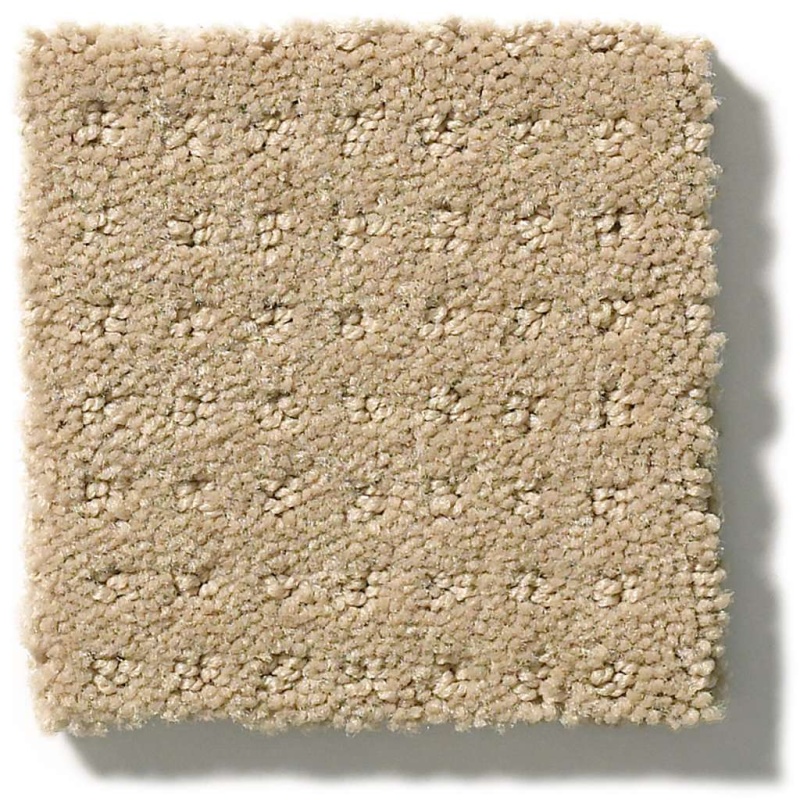Foundations Perpetual Move Espresso Nylon Carpet Pattern