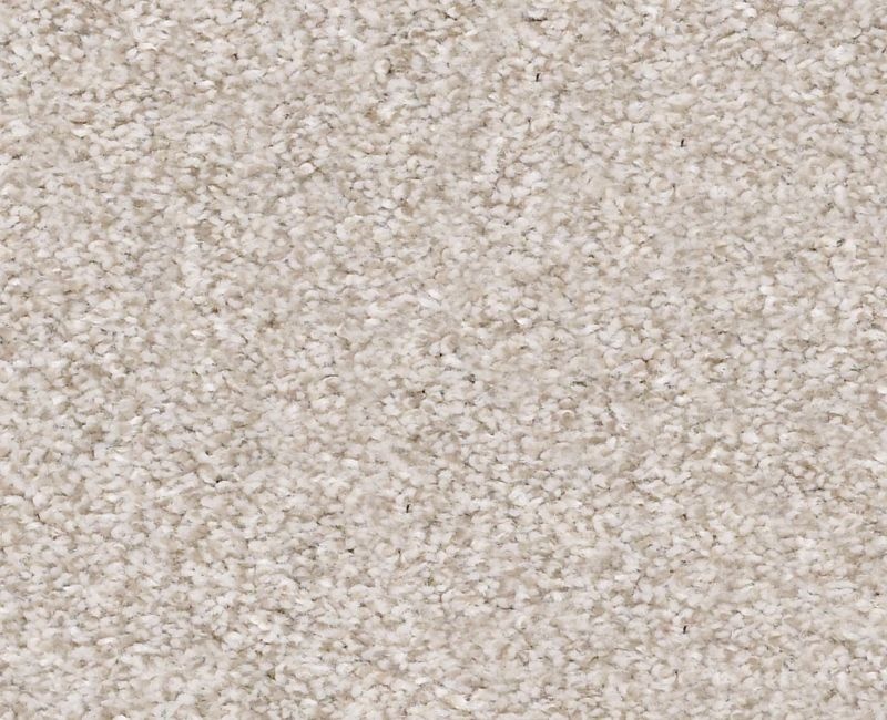 Mine To Keep I Desert Light Polyester Carpet - Textured