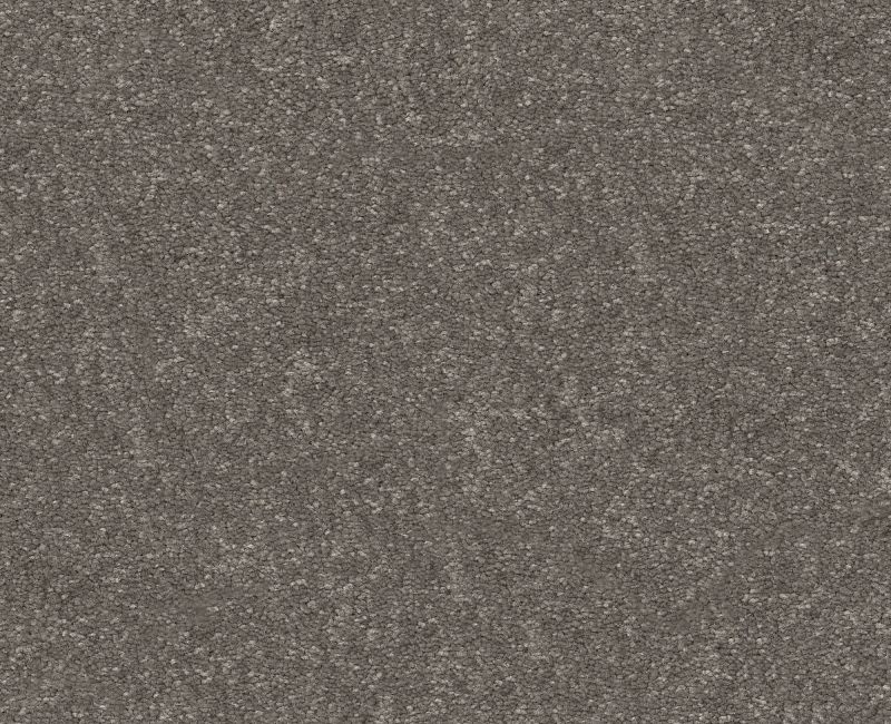 Pet Perfect Hard At Play Ii 15' Ashes Polyester Carpet - Textured