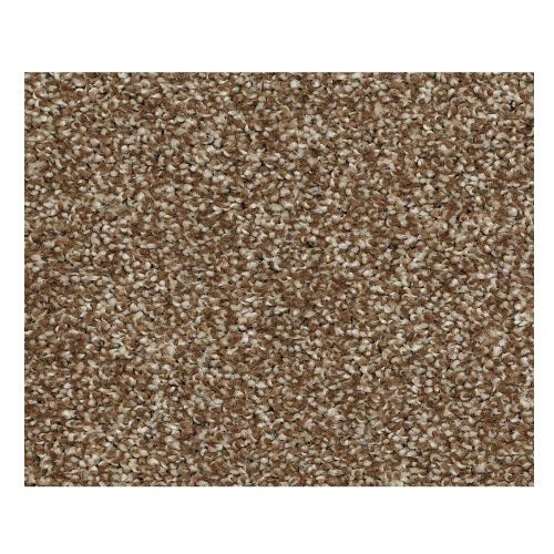 Vacation Day Chocolate Shake Nylon Carpet - Textured
