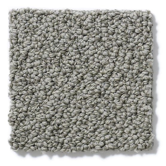 Pet Perfect On Point Tundra Nylon Carpet - Loop