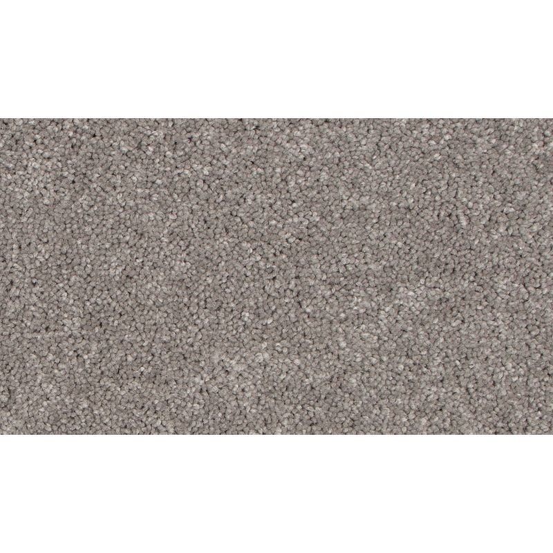 Sweet Reflection II Battleship Triexta Carpet - Textured