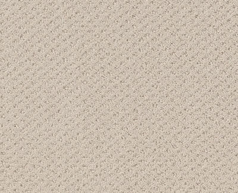 Pure Instinct Alabaster Nylon Carpet - Textured