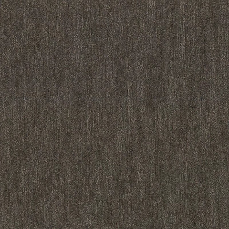 Profusion Scads Polyester Carpet - Textured