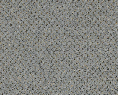 Future Generations Boomers Nylon Carpet - Textured