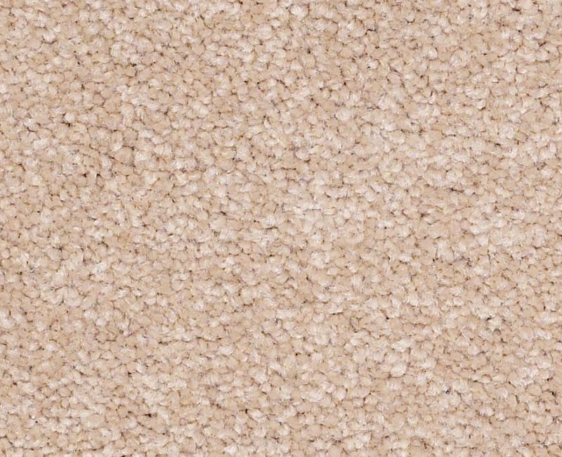 Magic Happens Pv I Antique White Nylon Carpet - Textured