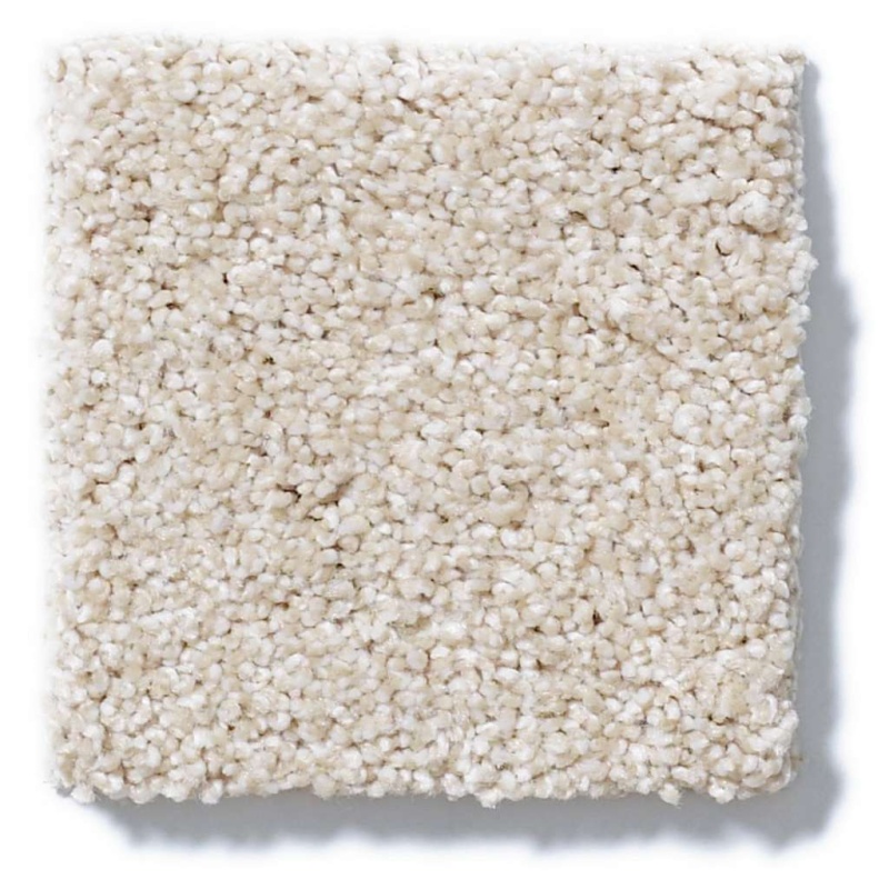 Always Ready II Boutique Nylon Carpet - Textured