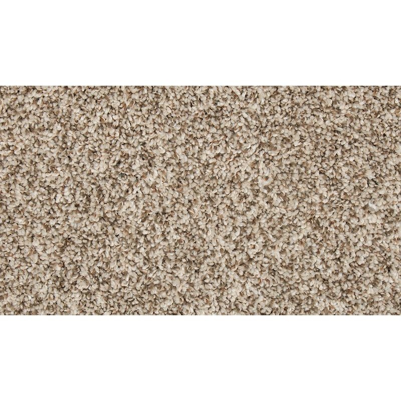 Color Classics I Whirlwind Polyester Carpet - Textured