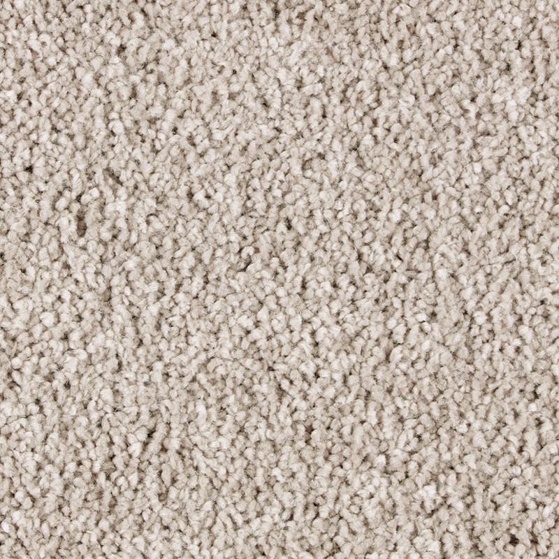 Exquisite Attraction Tradition Triexta Carpet - Textured