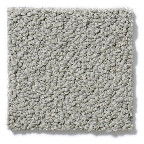 Personal Style Driftwood Nylon Carpet - Loop