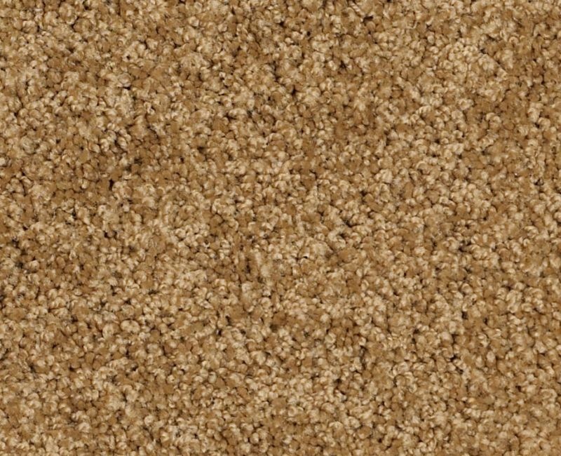 Playa Blanca Country Wheat Nylon Carpet - Textured