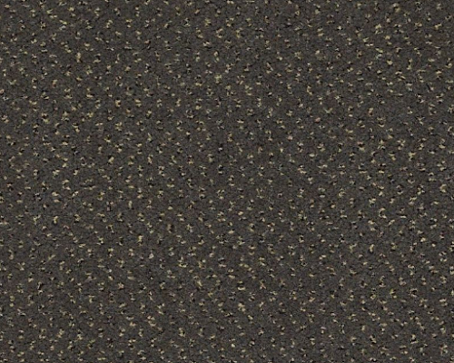 Future Generations Century Nylon Carpet - Textured