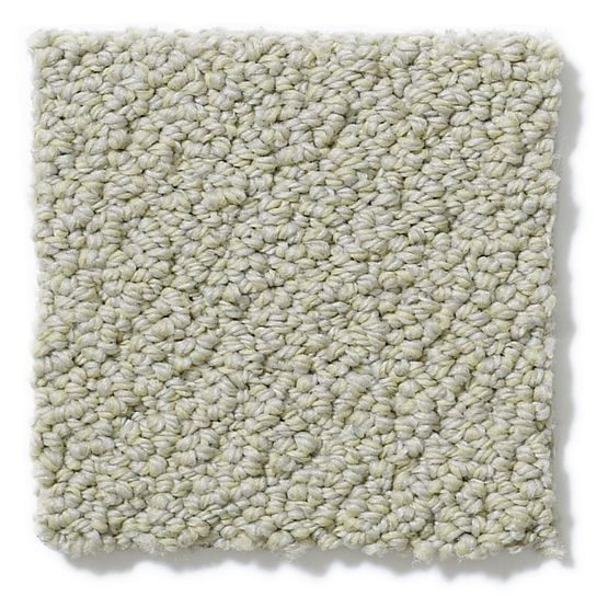 Pet Perfect On Point Dusty Jade Nylon Carpet - Loop