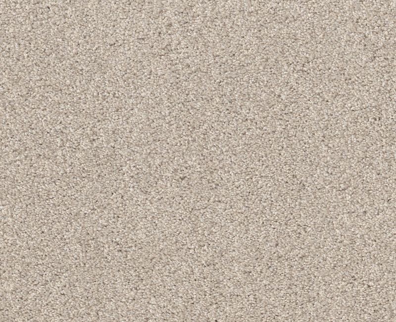 Simple Life Bleached Oak Nylon Carpet - Textured