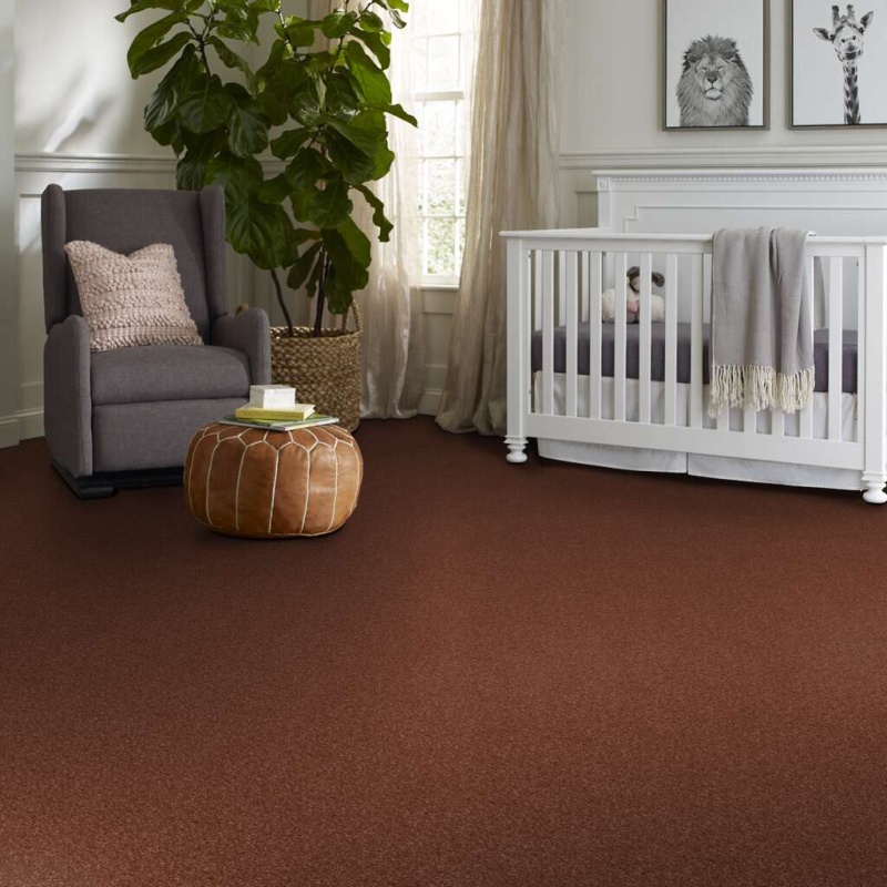 Caress By Shaw Quiet Comfort Classic Iii Rich Henna Nylon Carpet - Textured