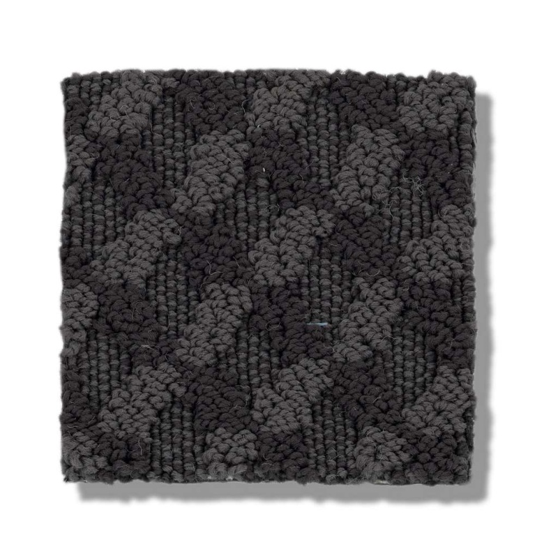 Caress By Shaw Inspired Design Wrought Iron Nylon Carpet - Pattern