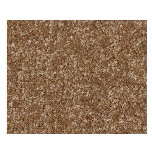 Qs236 Ii 15' Belt Buckle Nylon Carpet - Textured