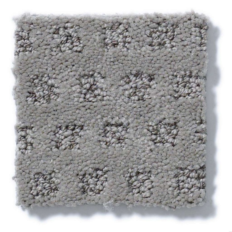 Caress By Shaw My Expression Arctic Frost Nylon Carpet - Pattern