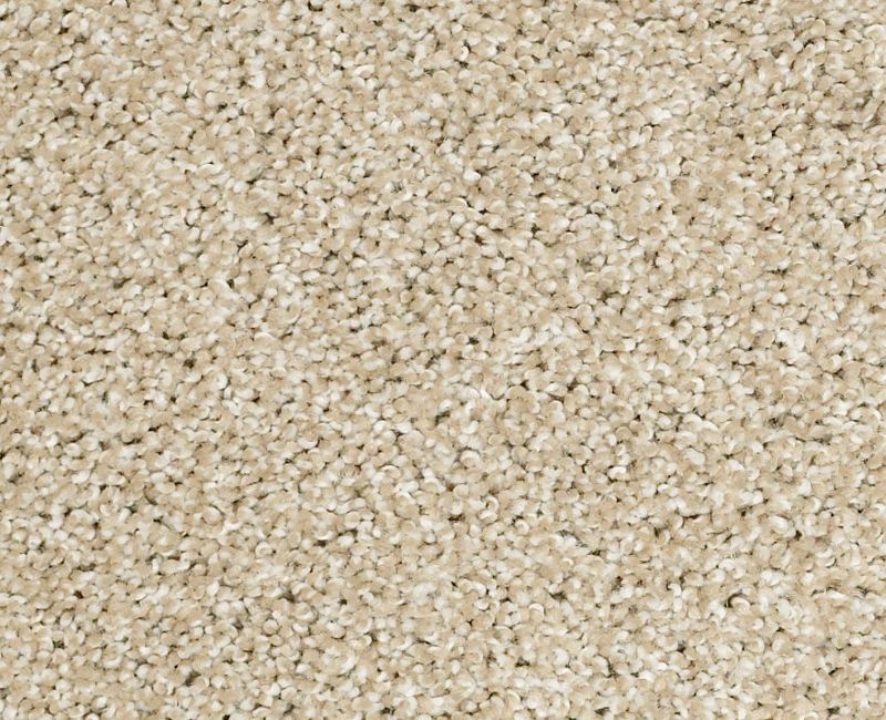 Uncomplicated Dunes Nylon Carpet - Pattern