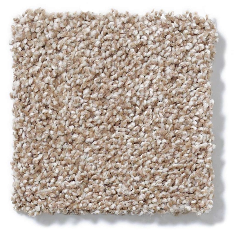 That's Right Mole Hill Nylon Carpet - Textured