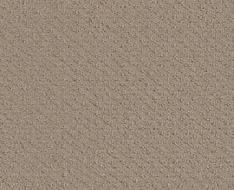 Meaningful Design Wool Skein Nylon Carpet - Loop
