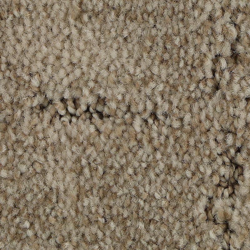 Elaborate Appeal Haven Polyester Carpet - Pattern