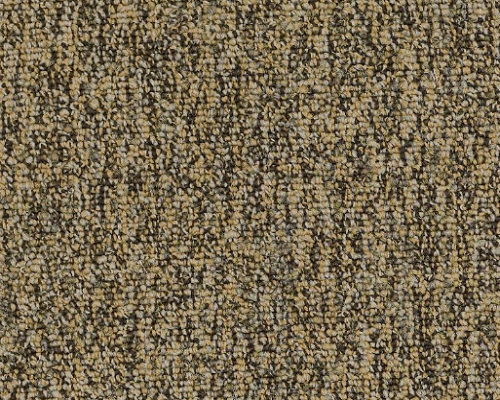 Multiplicity Abundance Nylon Carpet - Loop