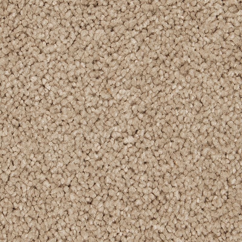 Peaceful Elegance Belvedere Triexta Carpet - Textured