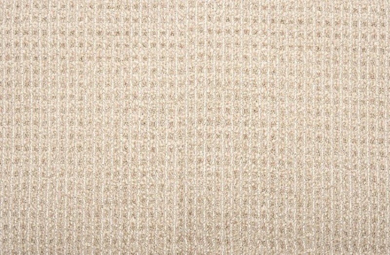 Pet Guard Sir Leon Desert Sand Solution Dyed Polyes Carpet - Loop