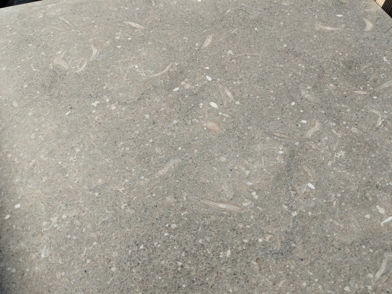 Sea Grass Premium Limestone Tile - Honed