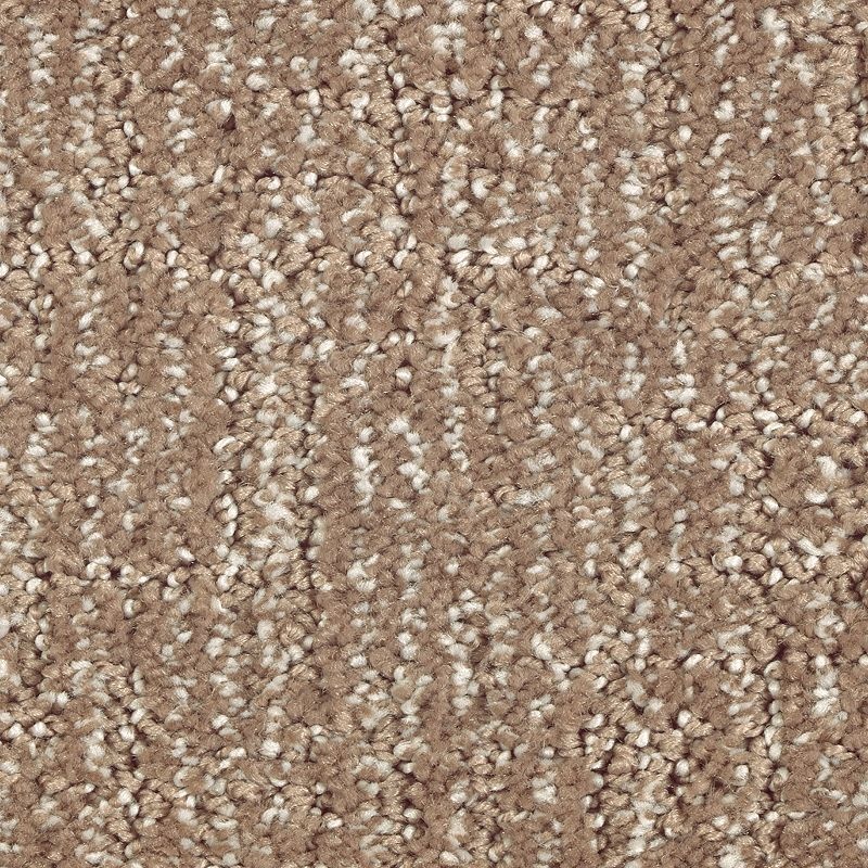 Natural Artistry Rich Earth Triexta Carpet - Pattern