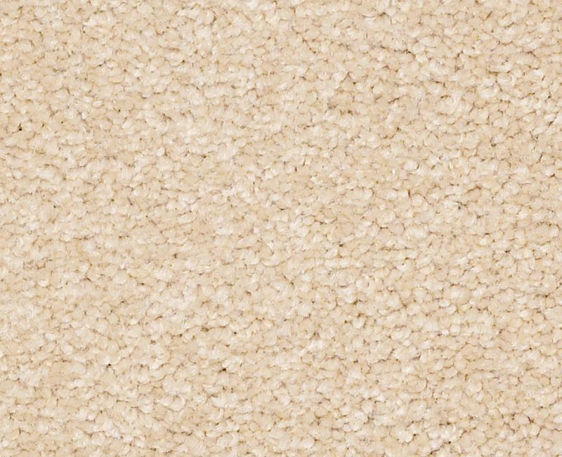 Magic Happens PV III Custard Nylon Carpet - Textured