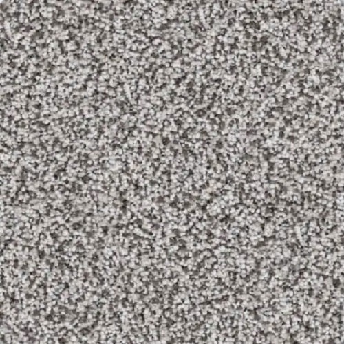 Rainier Snowshoe Polyester Carpet - Textured
