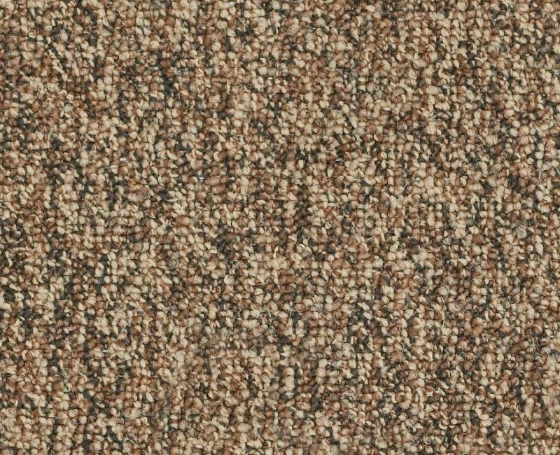 Clearance Sale! Franchise II 26 Brown Nylon Carpet - Textured
