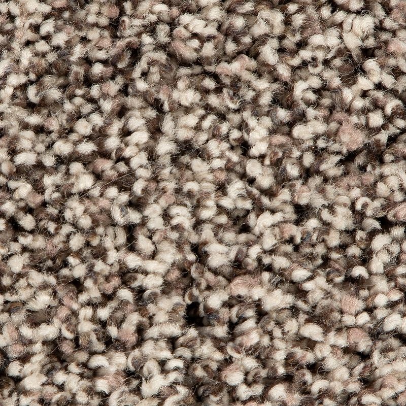 Soft Accolade I Natural Polyester Carpet - Textured